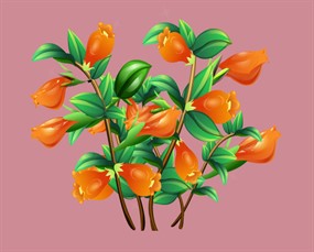 卡通君子兰flash透明素材